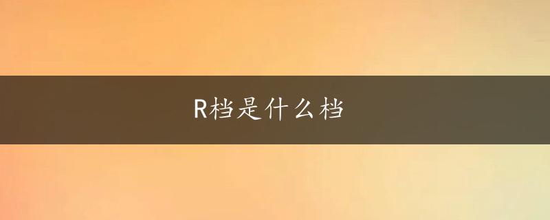 R档是什么档