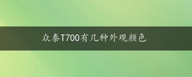 众泰T700有几种外观颜色