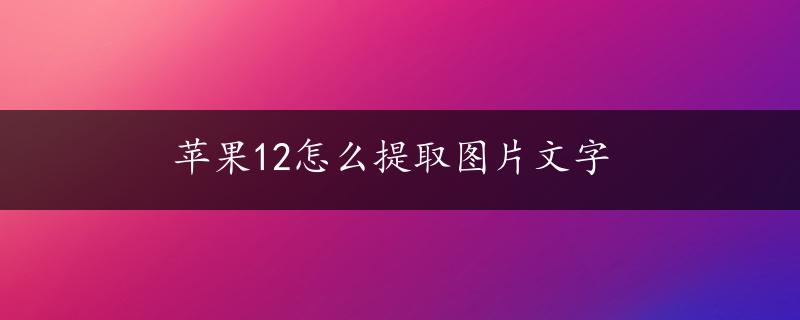 苹果12怎么提取图片文字