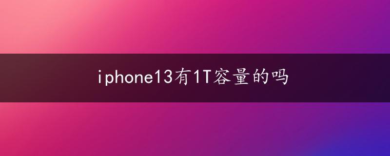 iphone13有1T容量的吗