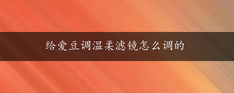 给爱豆调温柔滤镜怎么调的