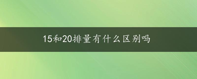 15和20排量有什么区别吗