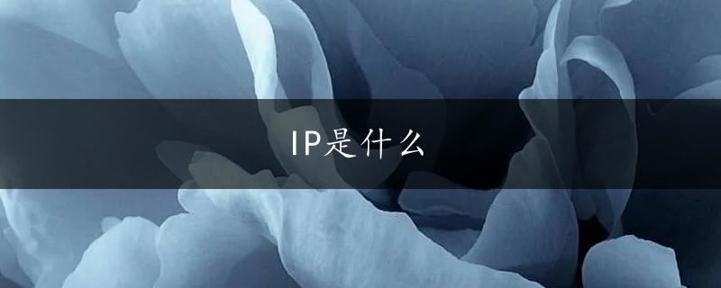 IP是什么