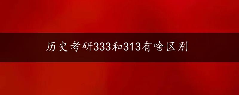 历史考研333和313有啥区别