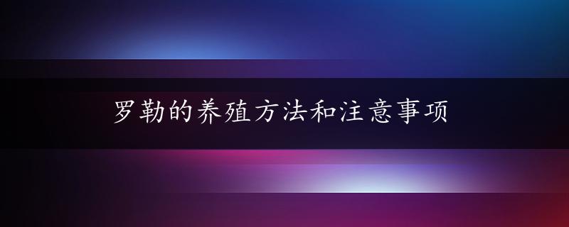 罗勒的养殖方法和注意事项