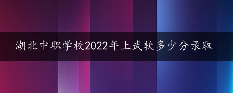 湖北中职学校2022年上武软多少分录取