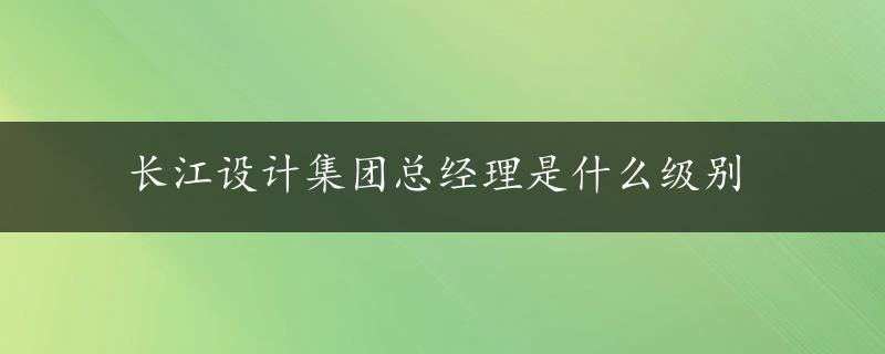 长江设计集团总经理是什么级别