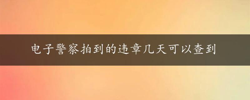 电子警察拍到的违章几天可以查到