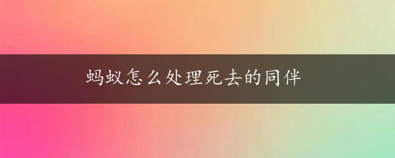 蚂蚁怎么处理死去的同伴