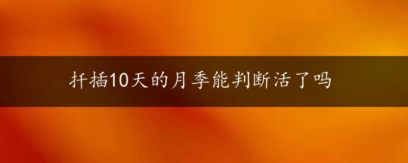 扦插10天的月季能判断活了吗