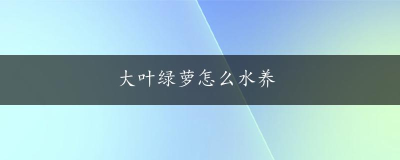 大叶绿萝怎么水养