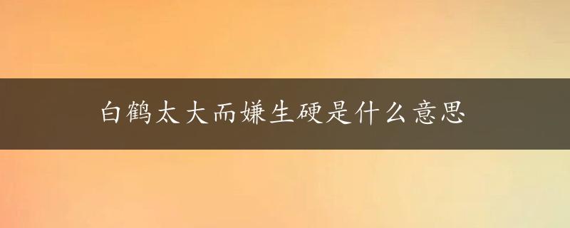 白鹤太大而嫌生硬是什么意思