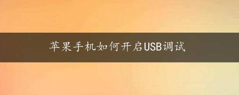 苹果手机如何开启USB调试