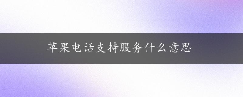 苹果电话支持服务什么意思