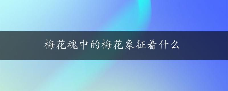 梅花魂中的梅花象征着什么