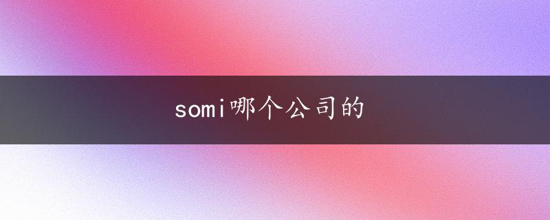 somi哪个公司的