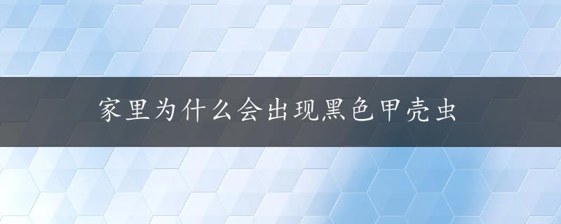 家里为什么会出现黑色甲壳虫