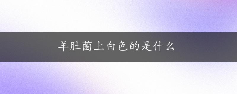 羊肚菌上白色的是什么