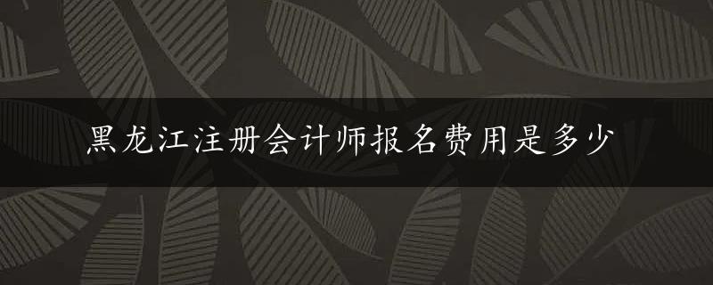 黑龙江注册会计师报名费用是多少