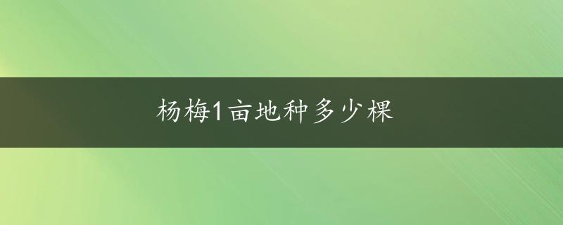 杨梅1亩地种多少棵