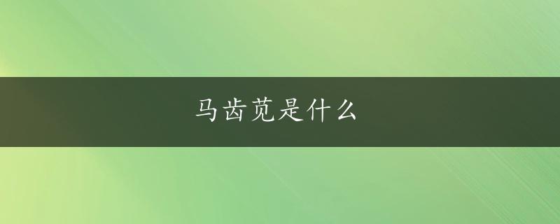 马齿苋是什么