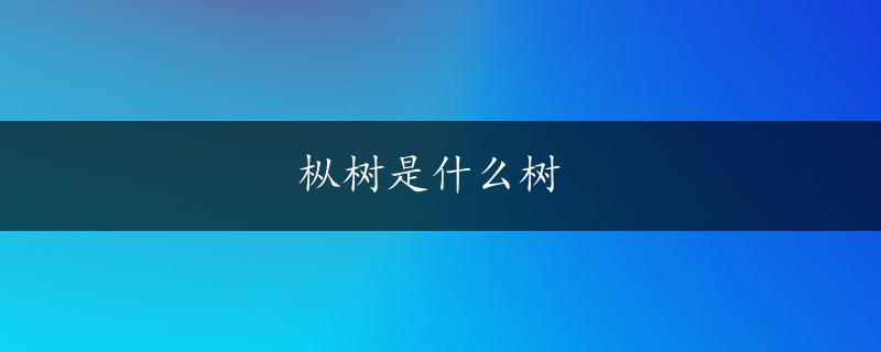 枞树是什么树