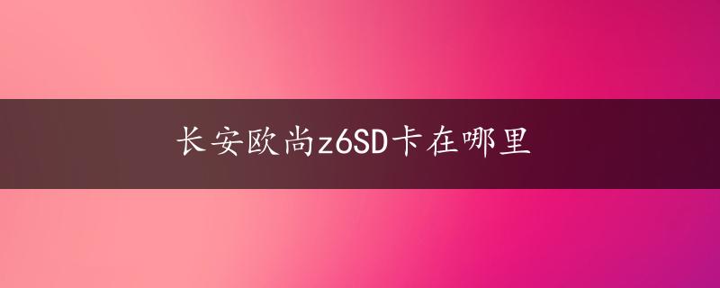 长安欧尚z6SD卡在哪里