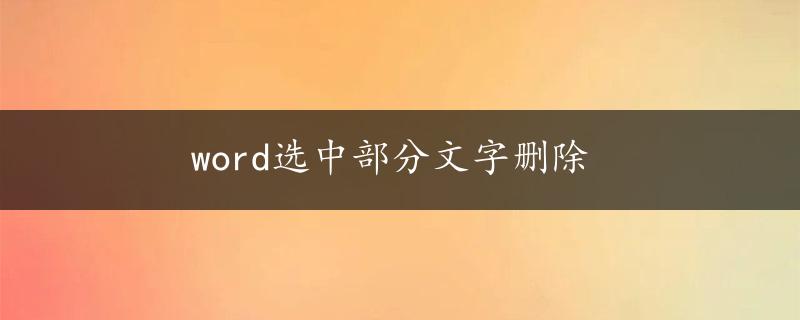 word选中部分文字删除