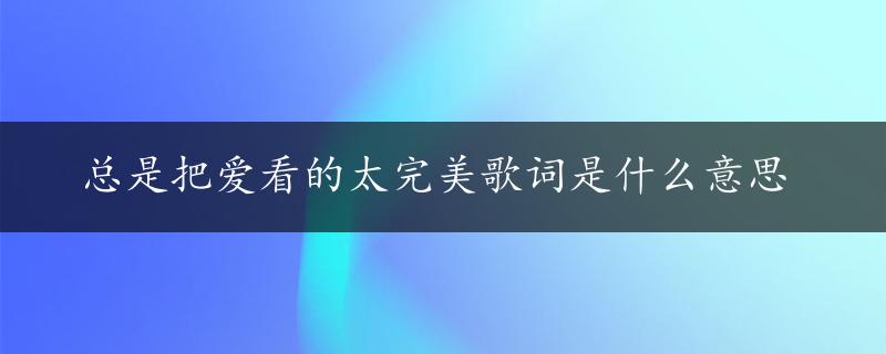 总是把爱看的太完美歌词是什么意思