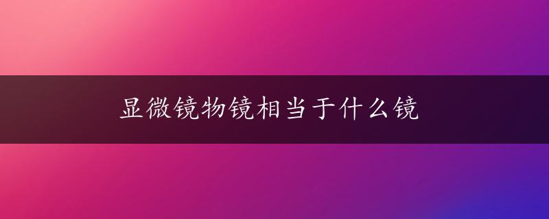 显微镜物镜相当于什么镜