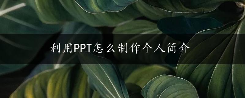 利用PPT怎么制作个人简介