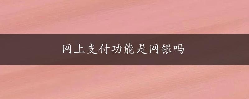 网上支付功能是网银吗