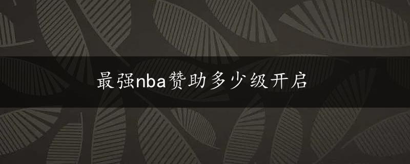 最强nba赞助多少级开启