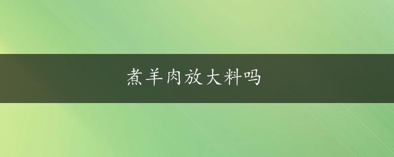 煮羊肉放大料吗