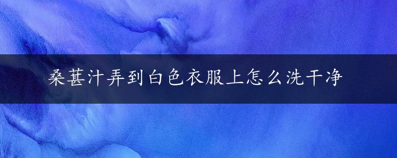 桑葚汁弄到白色衣服上怎么洗干净