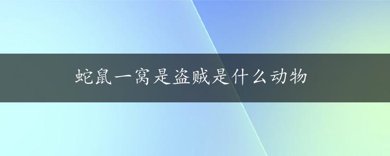 蛇鼠一窝是盗贼是什么动物