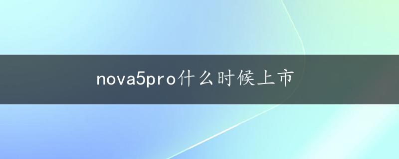 nova5pro什么时候上市