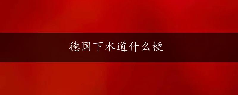 德国下水道什么梗