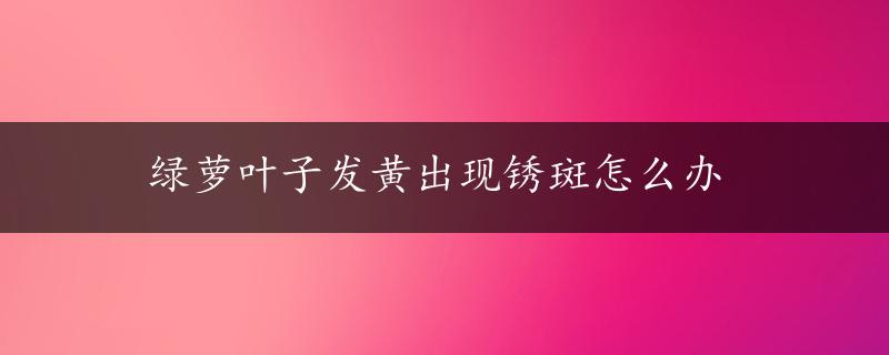 绿萝叶子发黄出现锈斑怎么办