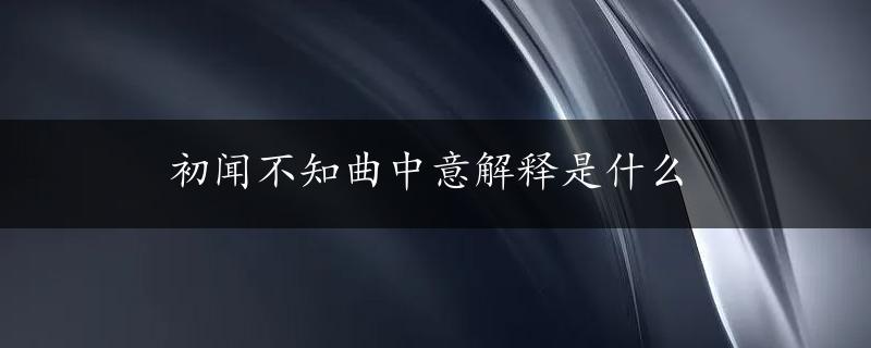 初闻不知曲中意解释是什么