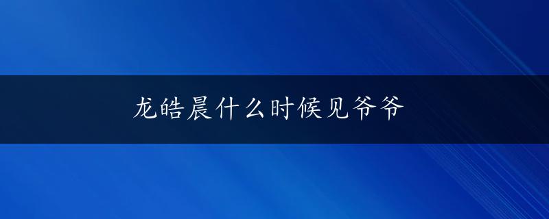 龙皓晨什么时候见爷爷