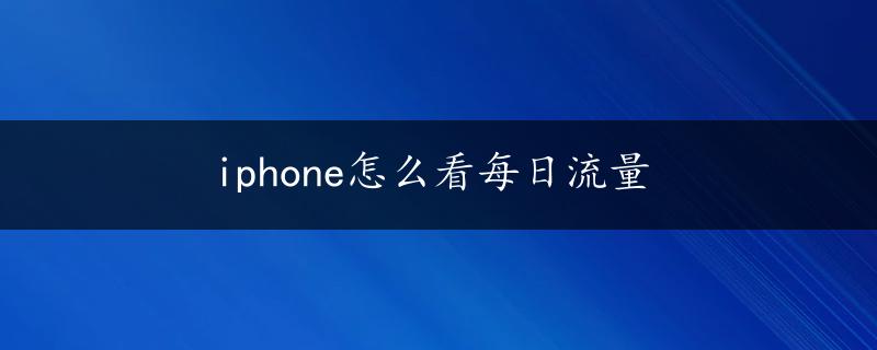 iphone怎么看每日流量