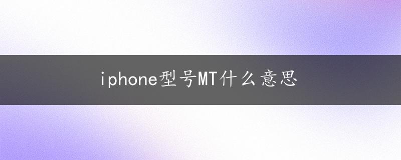 iphone型号MT什么意思