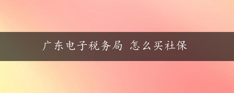 广东电子税务局 怎么买社保