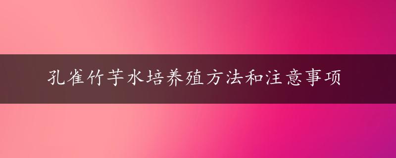 孔雀竹芋水培养殖方法和注意事项