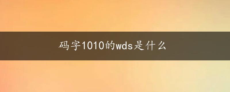 码字1010的wds是什么