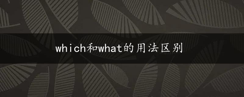 which和what的用法区别