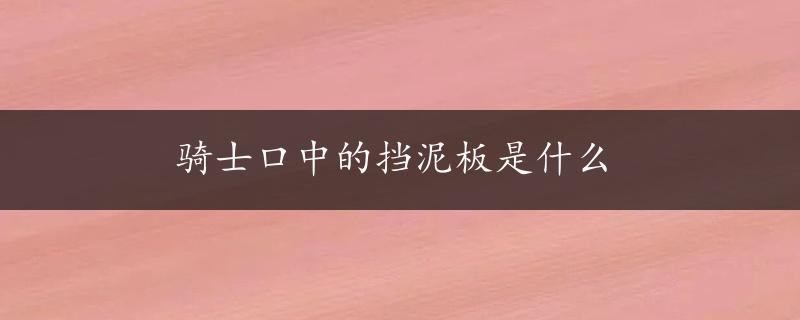 骑士口中的挡泥板是什么