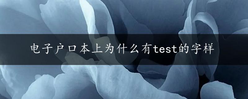 电子户口本上为什么有test的字样