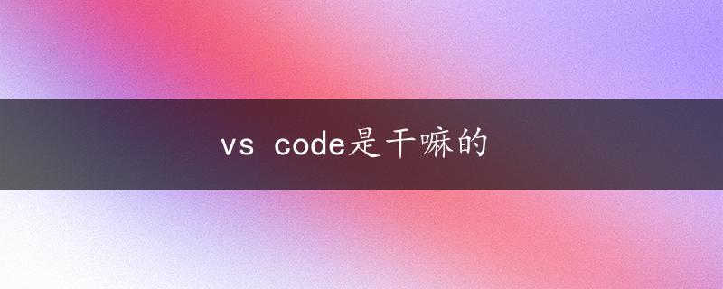 vs code是干嘛的